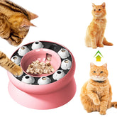 WhiskerWise Pet Slow Feeder Bowl