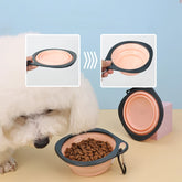 Collapsible Pet Travel Bowl Bottle