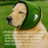 ArcticShield Pro Thermal Ear Warmers