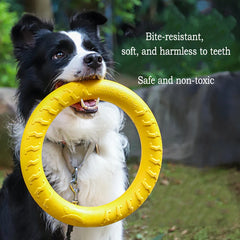 Durable EVA Dog Play Pack
