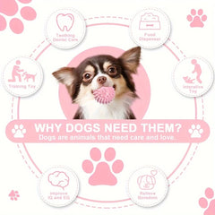Puppy PlayChew Set