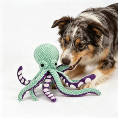 Rugged Octo Chew Buddy