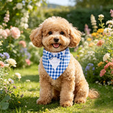 Dapper Pup Tuxedo Bandana Bow
