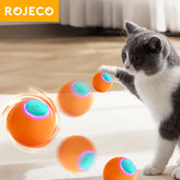 PlayPulse Rolling Cat Ball