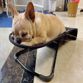 Comfy Pet Rocking Relax Bed