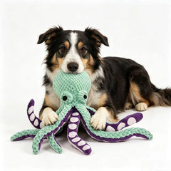 Rugged Octo Chew Buddy