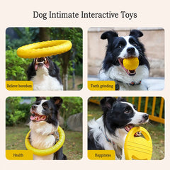 Durable EVA Dog Play Pack