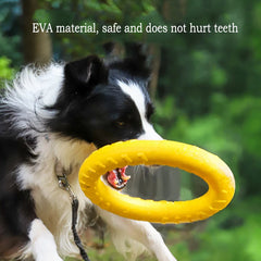 Durable EVA Dog Play Pack