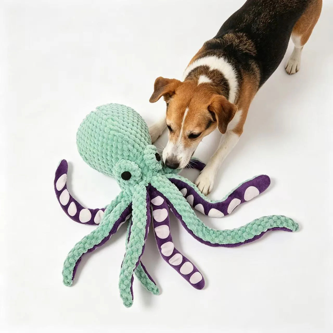 Rugged Octo Chew Buddy