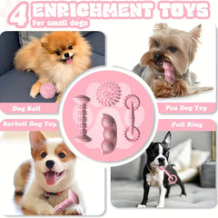 Puppy PlayChew Set