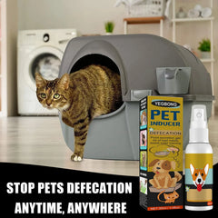 EasyPaws Potty Train Spray Routine