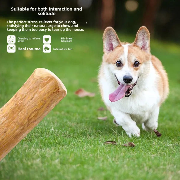 Tough Molar Dog Chew Stick