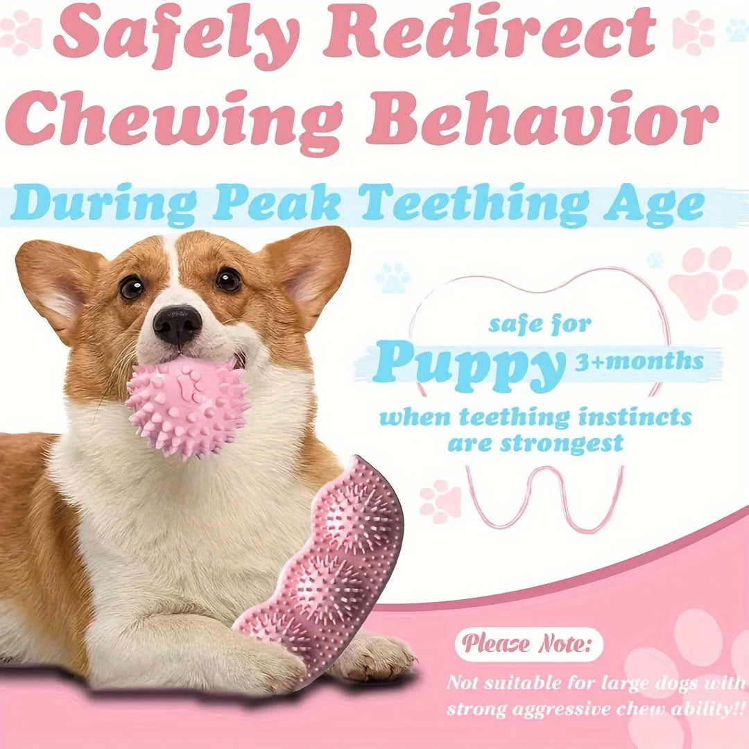 Puppy PlayChew Set