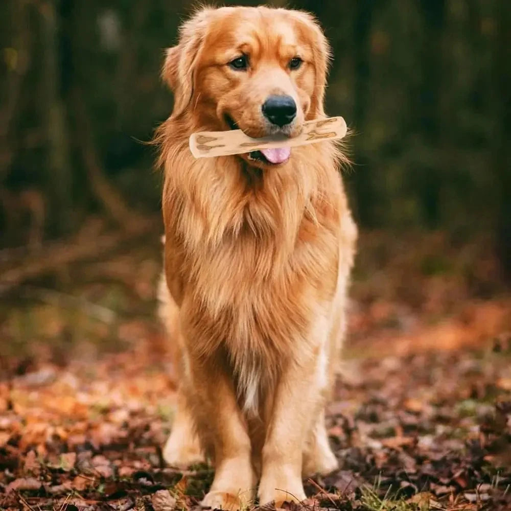 Tough Natural Dog Chew Sticks